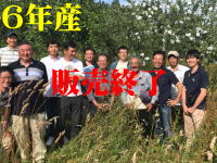 販売終了