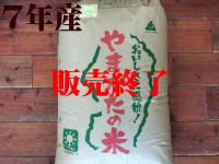 ２９年産