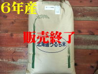 入荷待ち