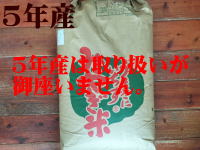 4年産