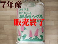 販売終了