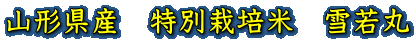 山形県産　特別栽培米　雪若丸