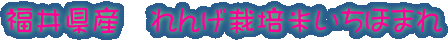 䌧Y@񂰍͔|Ăق܂
