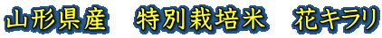 山形県産　特別栽培米　花キラリ