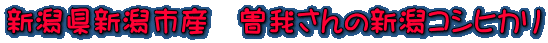 新潟県新潟市産　曽我さんの新潟コシヒカリ