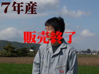 4年産
